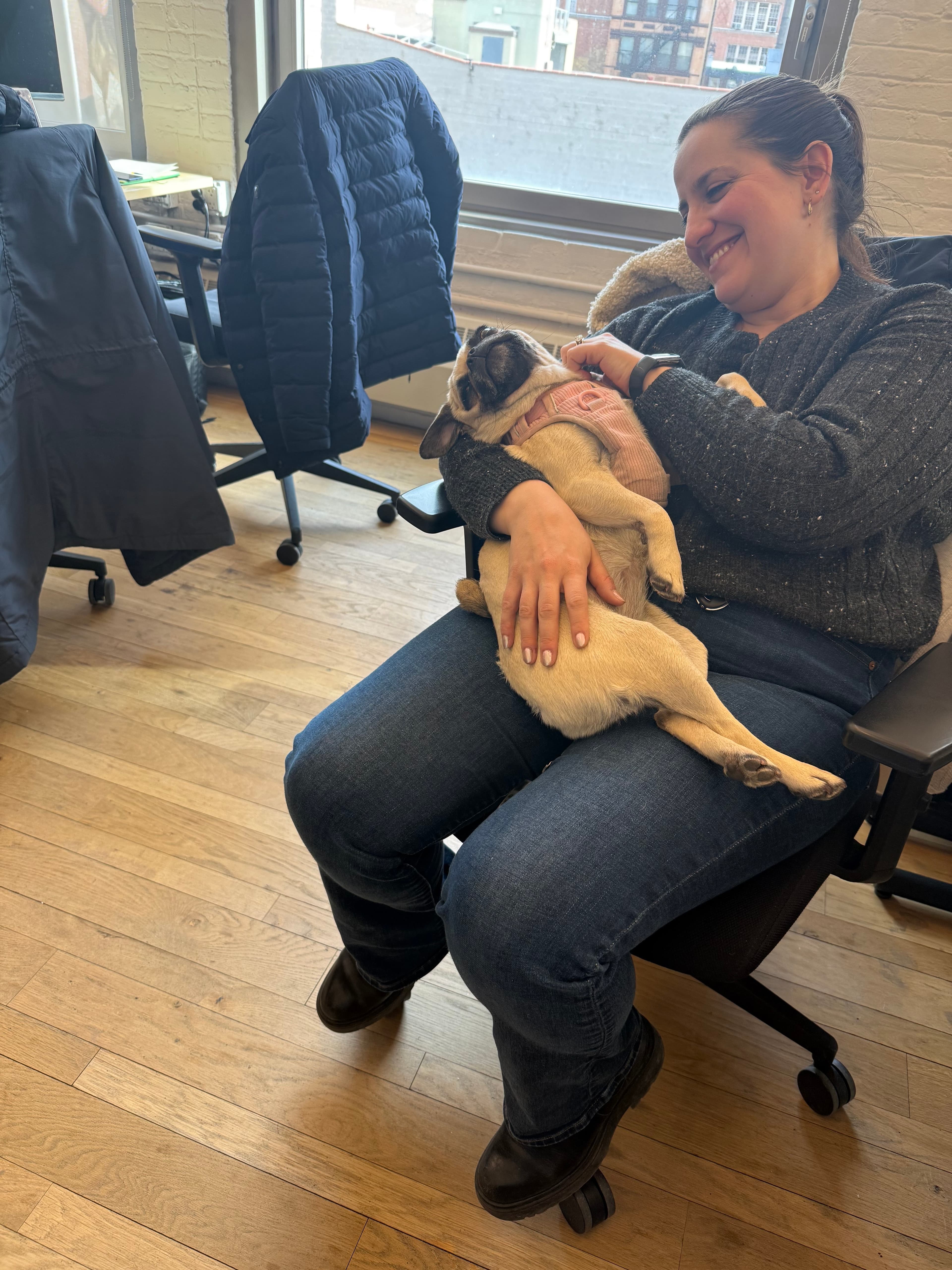 Phoebe, our Chief Pup Officer hanging out with our Head of Talent, Jackie